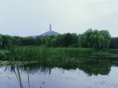 -北坞公园