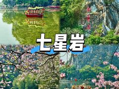 -鼎香皇高佬苏裹蒸粽