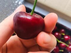 -鲜力达果品批发直销(青山店)