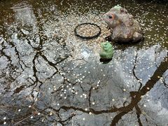 -天龙寺