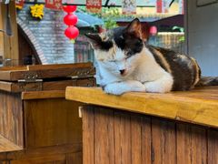 -川白楼·老成都院坝川菜鱼鲜馆(马鞍路店)