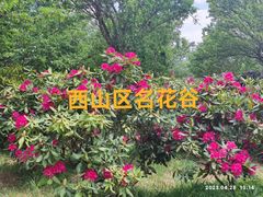 -名花谷生态庄园