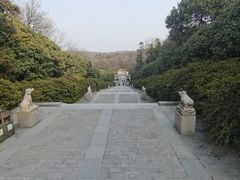 -宜兴龙背山森林公园