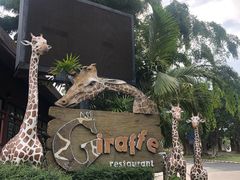 -清迈夜间动物园