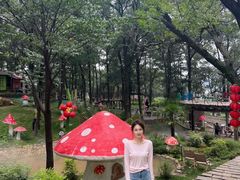 -沂蒙山旅游区云蒙景区(蒙山国家森林公园)