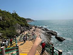 -广东惠东海龟国家级自然保护区