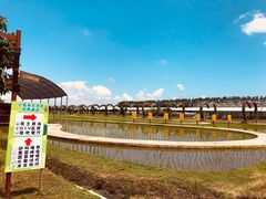 -迪茵湖田家舍生态农场