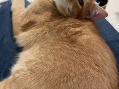 -荔康动物医院(康王北路店)