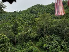 -西双版纳原始森林公园