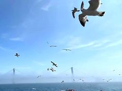 -星海湾跨海大桥