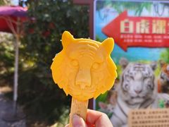 -杭州野生动物世界