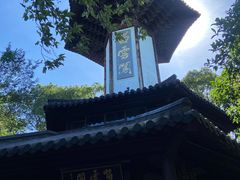 -上海佘山国家森林公园天马山园