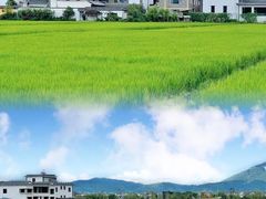 -大理洱海