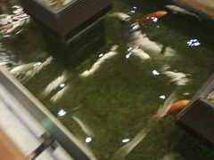 -太子园林酒家