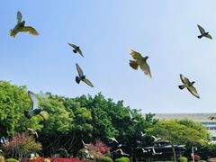 -白鹭洲公园