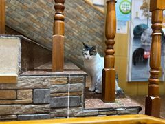 -黑土人家(江桥万达广场店)