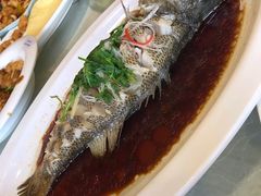 -南来顺饭庄·清真(南菜园店)