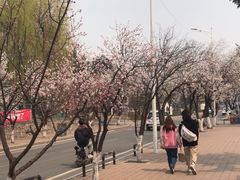 -吉林大学(前卫南区)