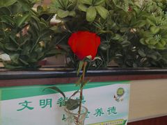 -雅泰来(解放路店)