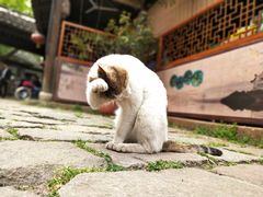 -忆秦园小笼包(惠山古镇总店)