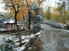 -莲湖公园