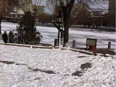 iphone_upload_pic-文瀛公园