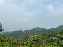 -火炉山森林公园