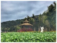 -广州市石门国家森林公园