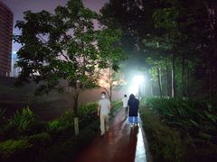 -重庆彩云湖湿地公园