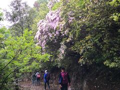 -西湖风景区十里琅珰-五云山