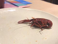 -靓靓蒸虾·头牌蒸虾(南山桂庙店)