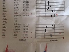 -爱侣宠医·鹦鹉专科·小型哺乳类·异宠专科(灵石路店)