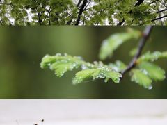 -山王坪喀斯特国家生态公园