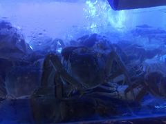-特色酱椒鱼私房菜(黄鹤楼店)