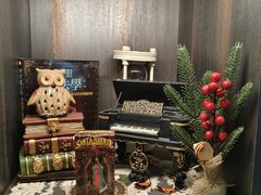 -雪灵魔法世界SHELLY’S TAROT(大良桂畔里店)