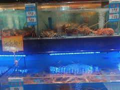 -阿伟海鲜楼·福建菜(延寿店)