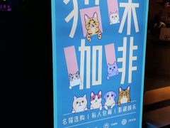 -飞行喵MR PILOT|猫舍·猫咖(静安大融城店)