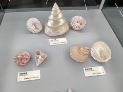 -天津古林古海岸遗迹博物馆