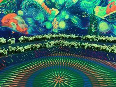 -天津梵高星空艺术馆(天河城旗舰店)