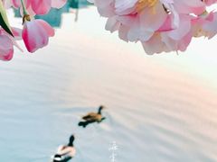 -海棠花溪(元大都城垣遗址公园)