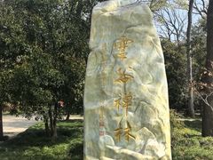 -灵谷景区