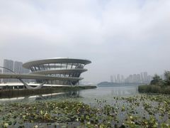 -梅溪湖城市岛