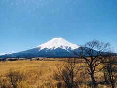 -富士山吉田線五合目