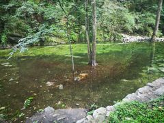-牛背梁国家森林公园