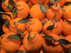 -Galleria百货店名品馆