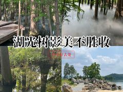 -东湖落雁景区