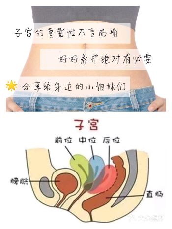 一次性搞清楚!你的子宫位置大小危险信号!