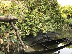 -小洲村