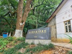 -马王堆汉墓遗址
