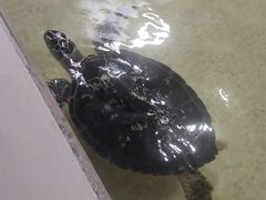 -常州海昌海洋探索馆